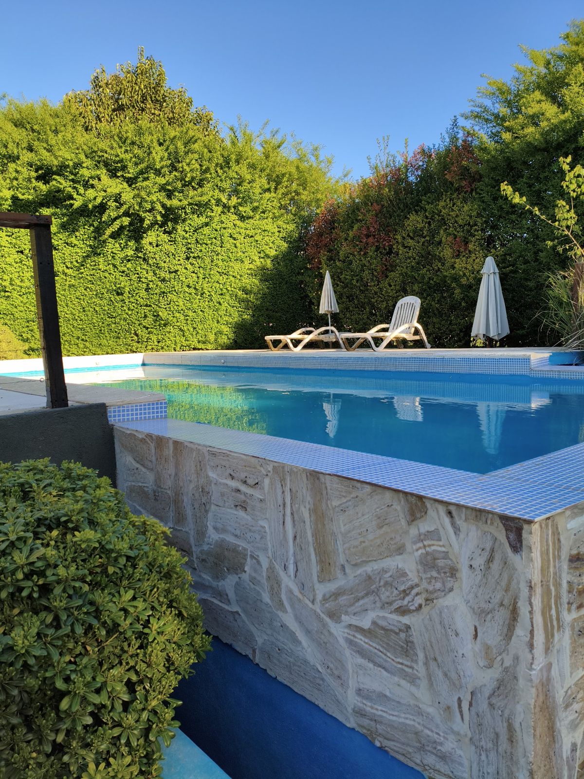 Piscina con desborde infinito y arboleda